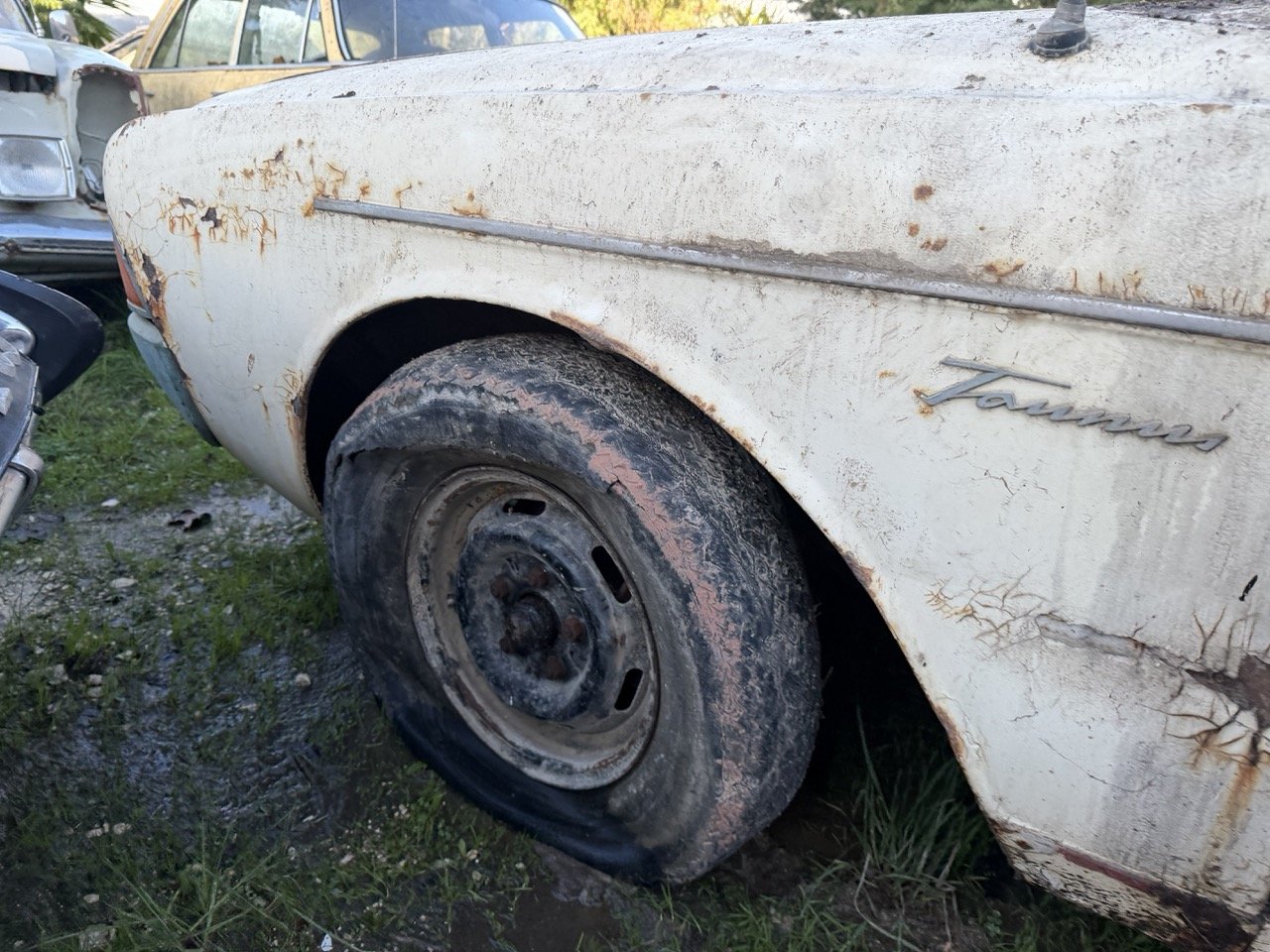 IMG_4076 – grande.jpeg