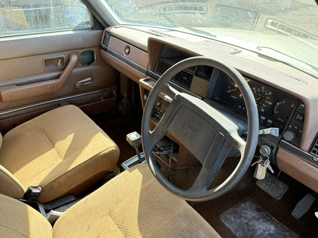 IMG_1152 – grande.jpeg