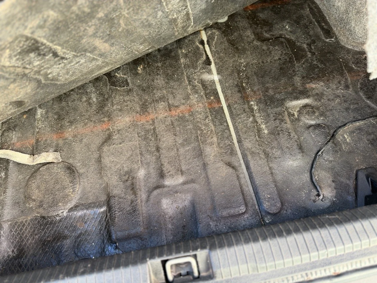 IMG_2745 – grande.jpeg