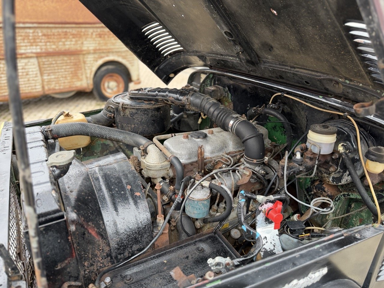 IMG_6477 – grande.jpeg