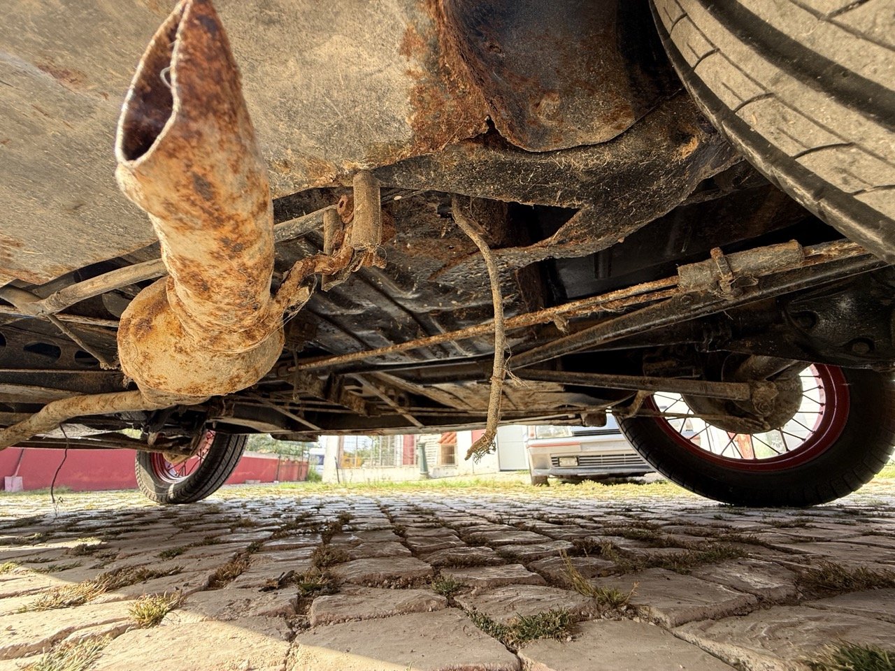 IMG_3739 – grande.jpeg