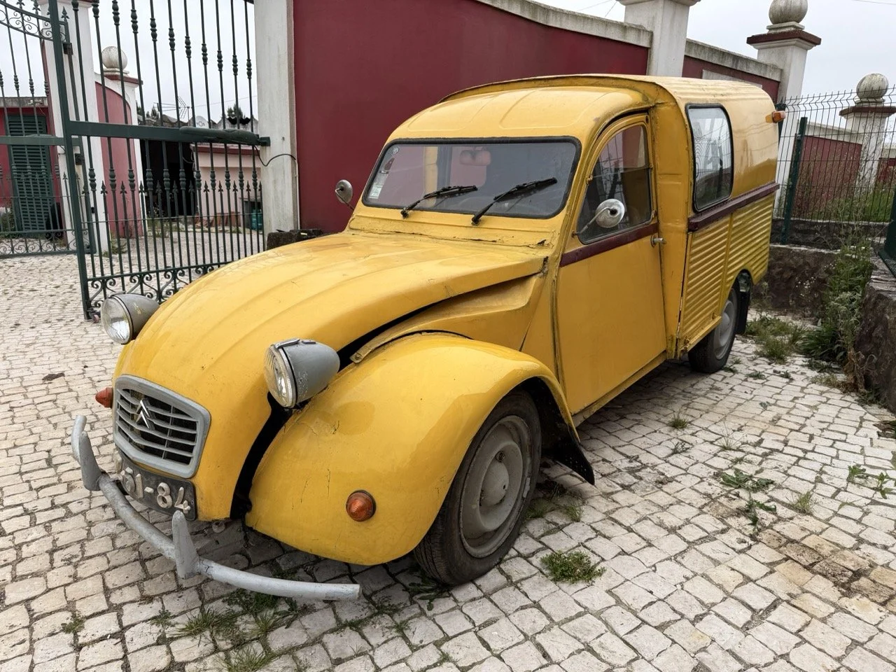 IMG_3836 – grande.jpeg