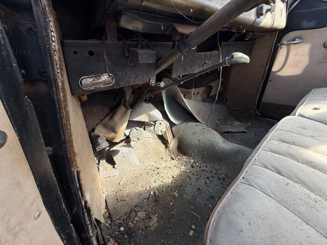 IMG_0464 – grande.jpeg