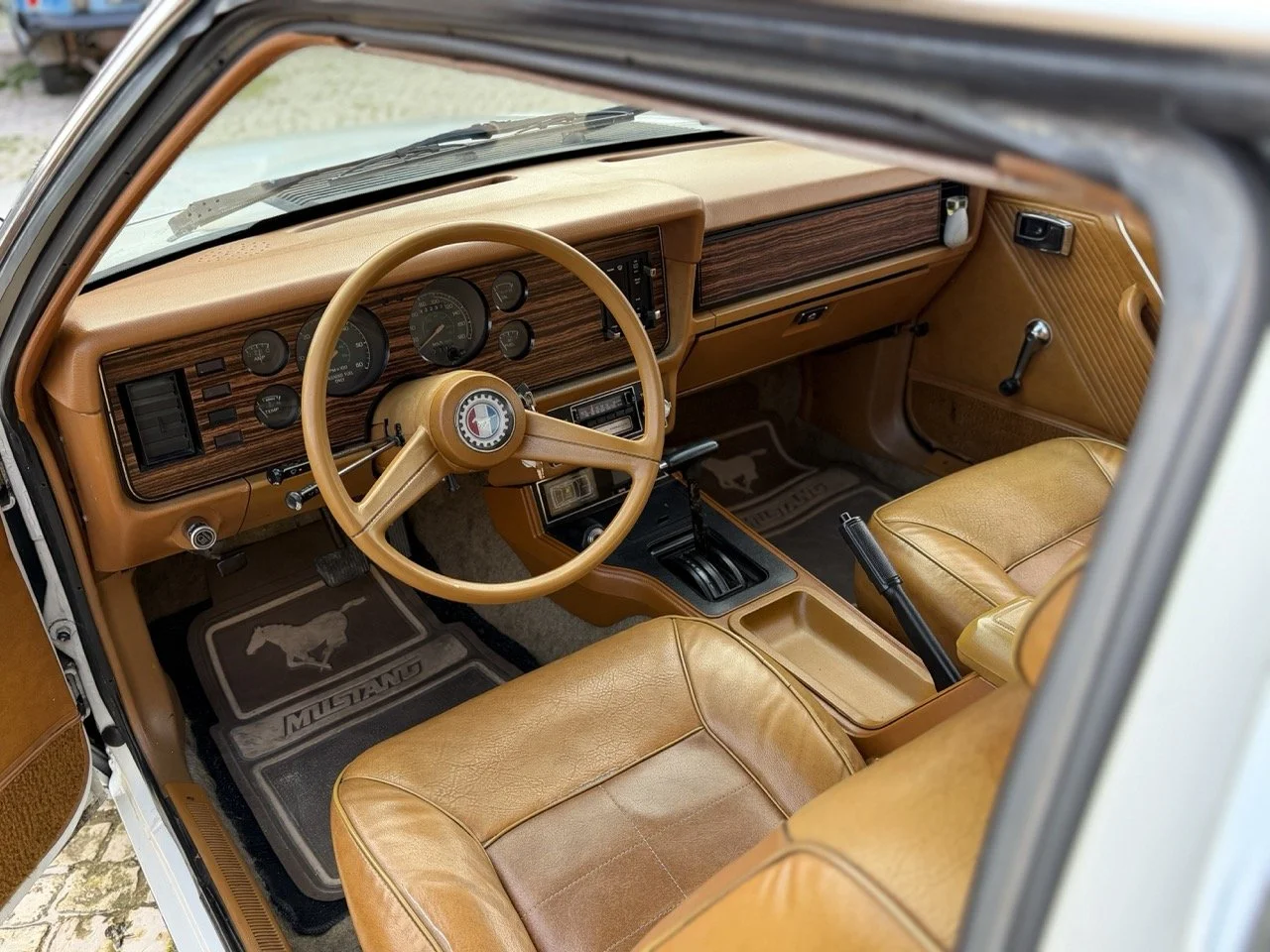 IMG_4163 – grande.jpeg