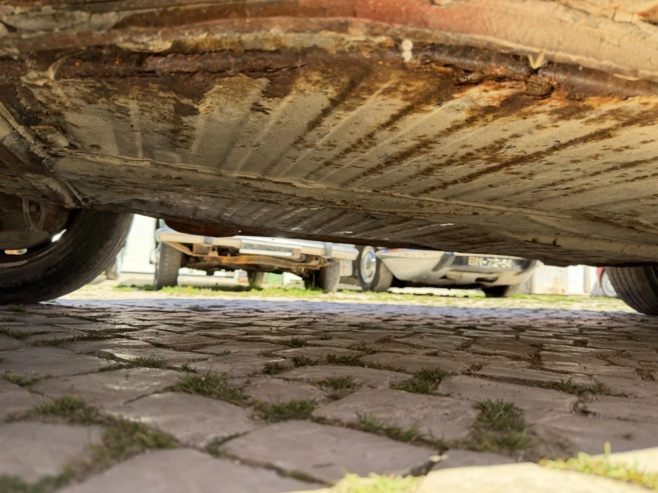 IMG_7607 – grande.jpeg