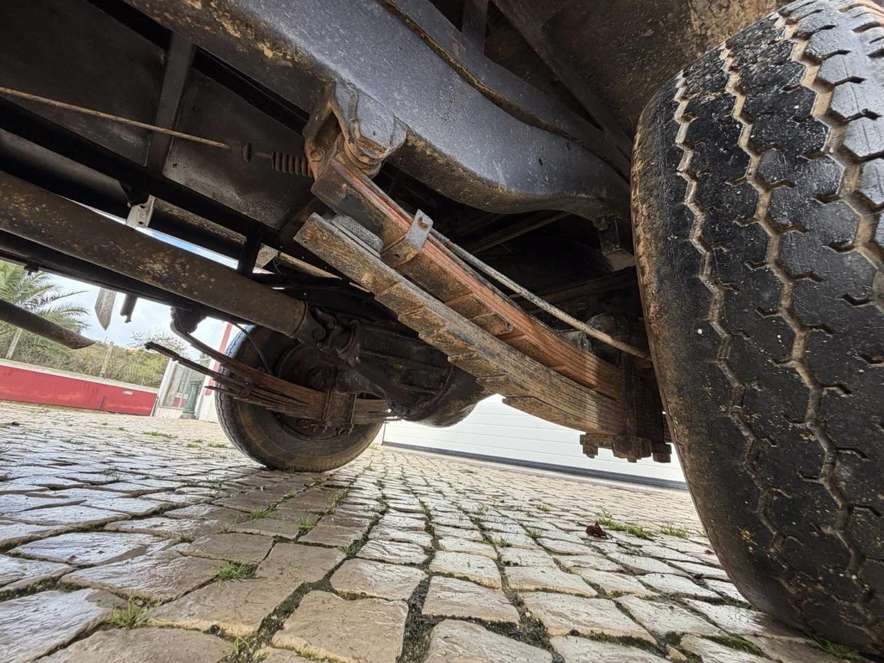 IMG_8140 – grande.jpeg