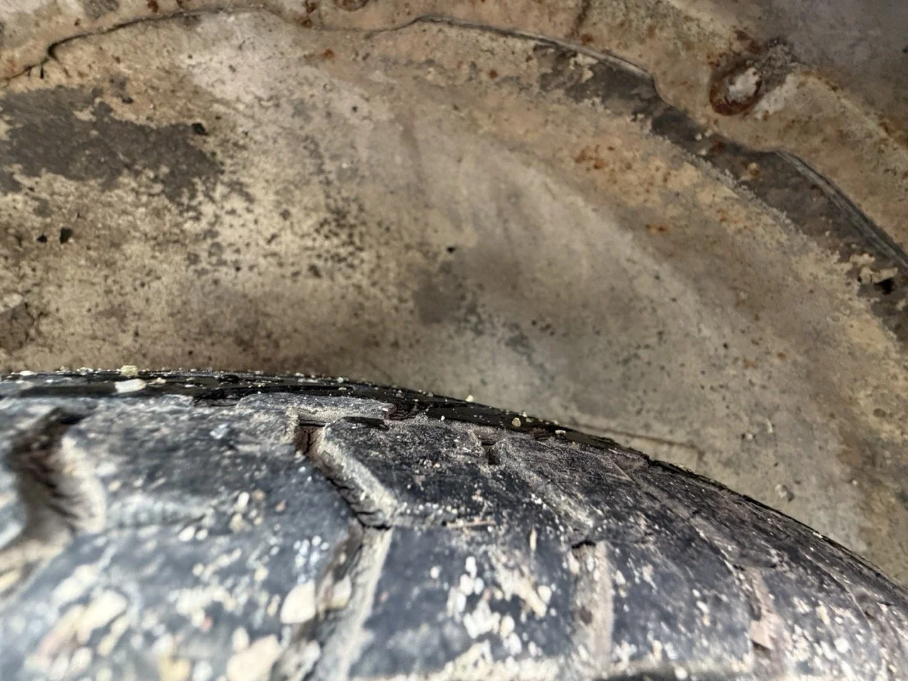 IMG_8672 – grande.jpeg