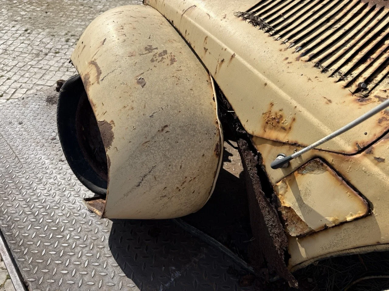 IMG_3183 – grande.jpeg