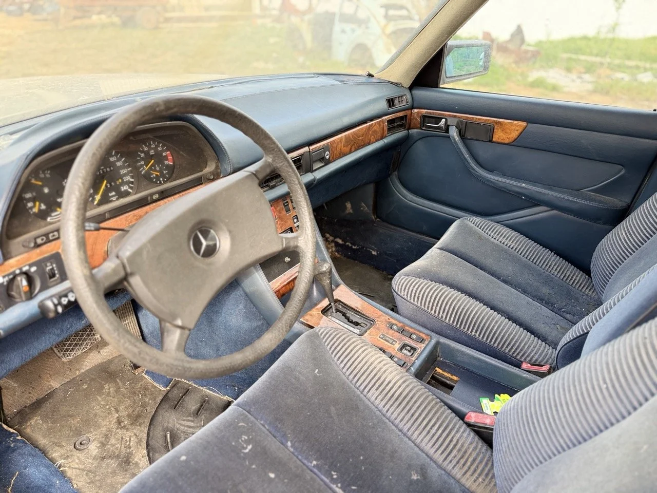 IMG_3353 – grande.jpeg