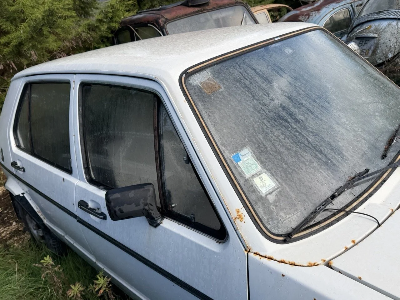 IMG_5185 – grande.jpeg