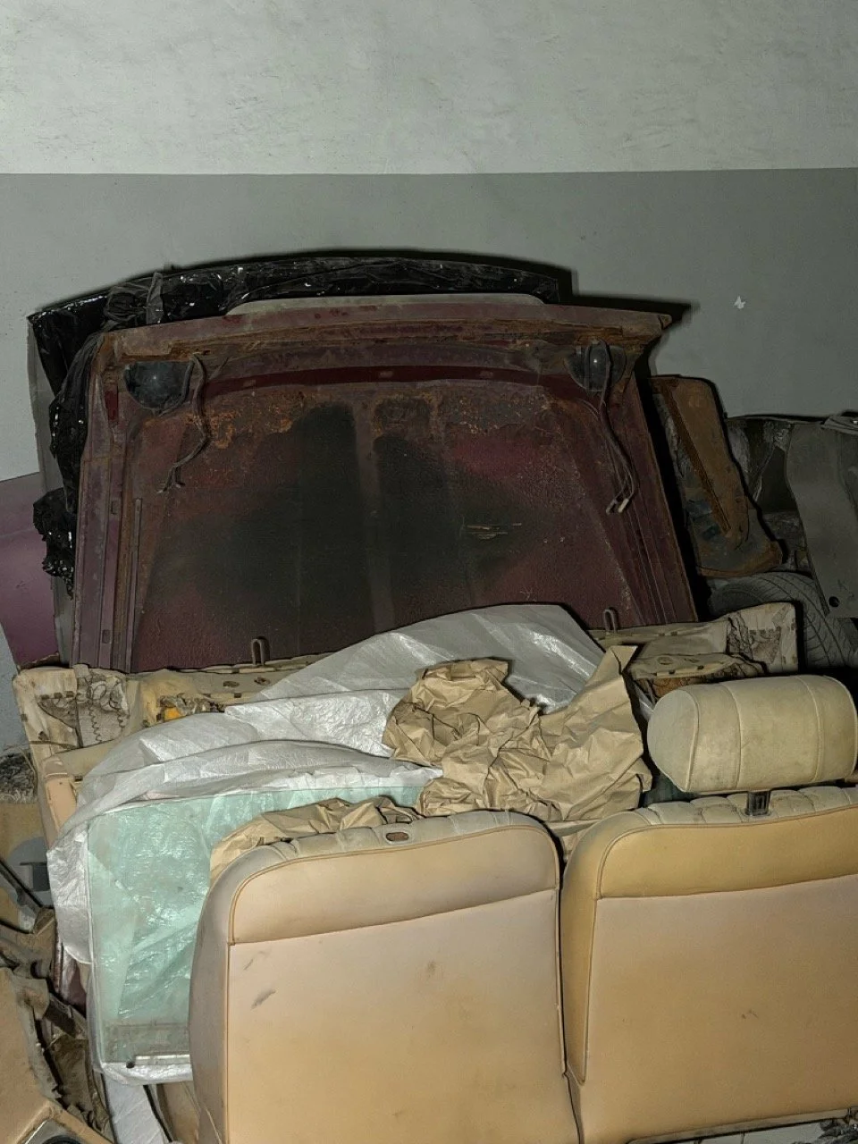 IMG_4254 – grande.jpeg