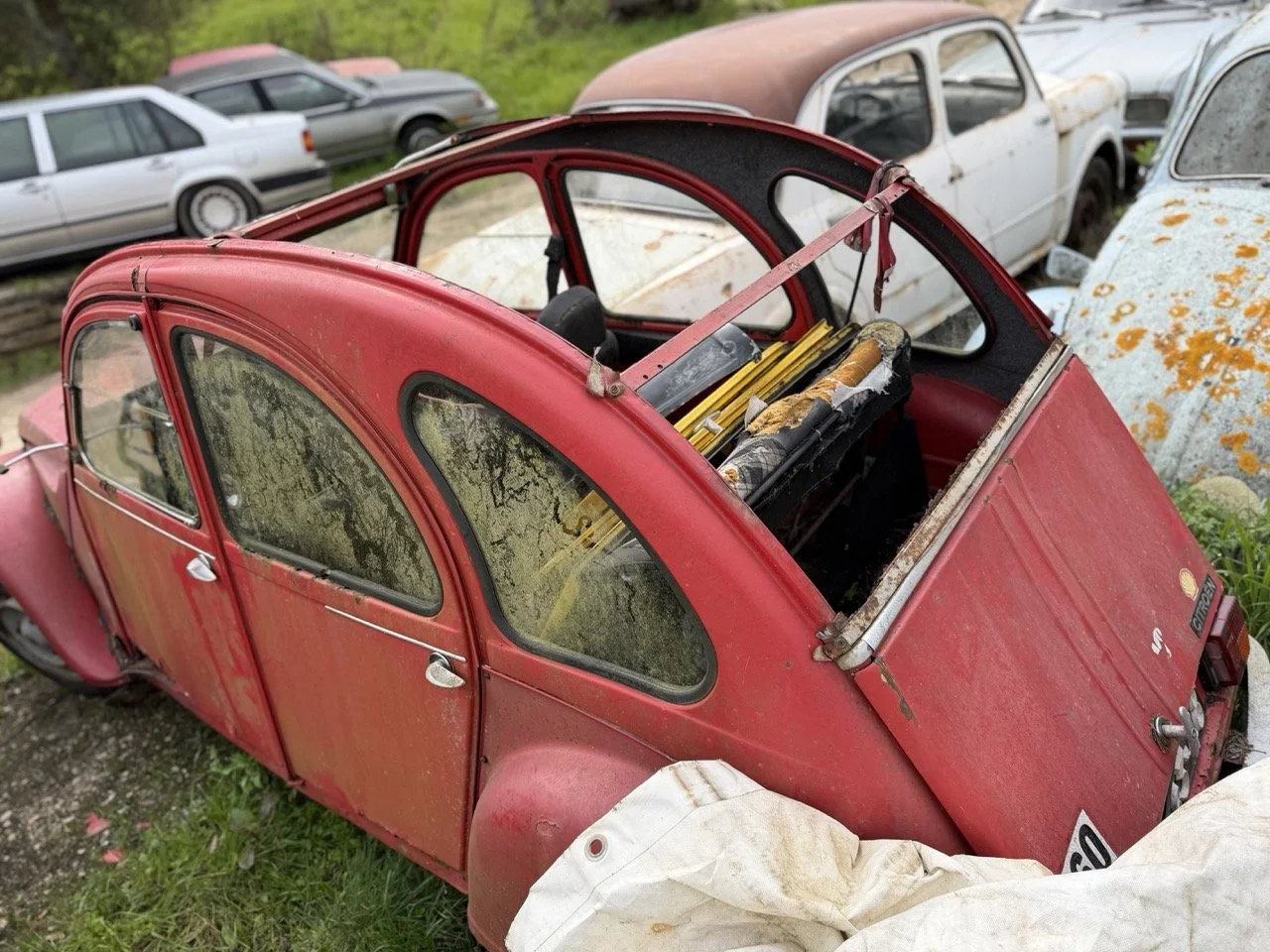 IMG_3848 – grande.jpeg