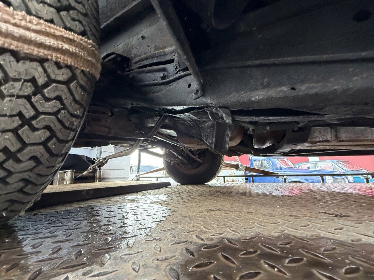 IMG_1774 – grande.jpeg