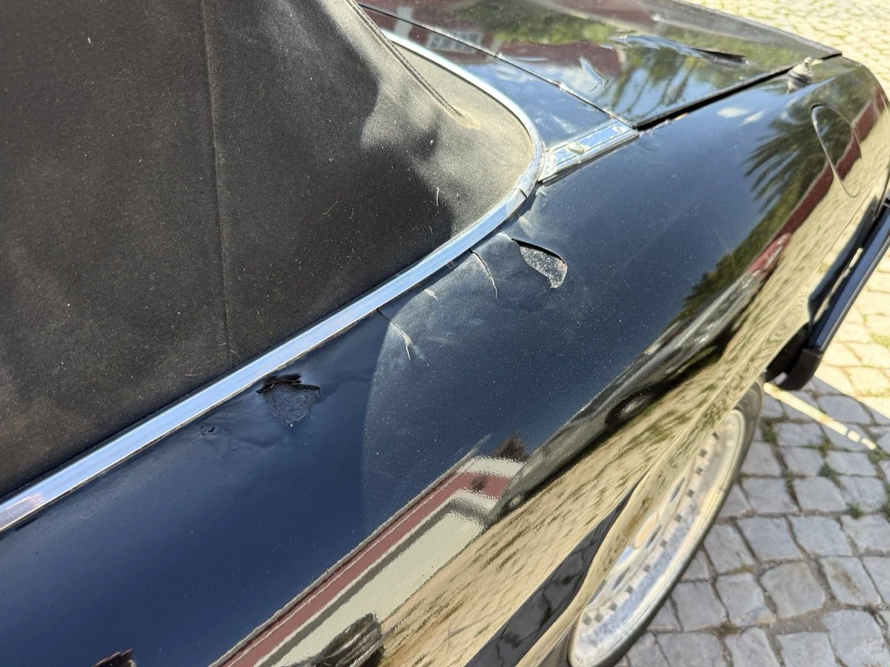 IMG_2191 – grande.jpeg