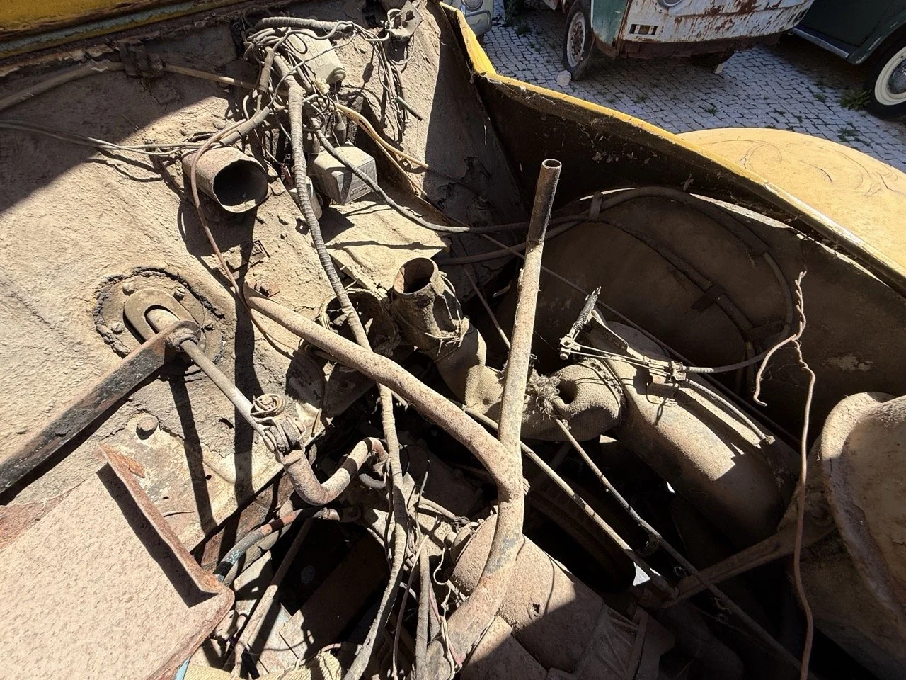 IMG_9148 – grande.jpeg