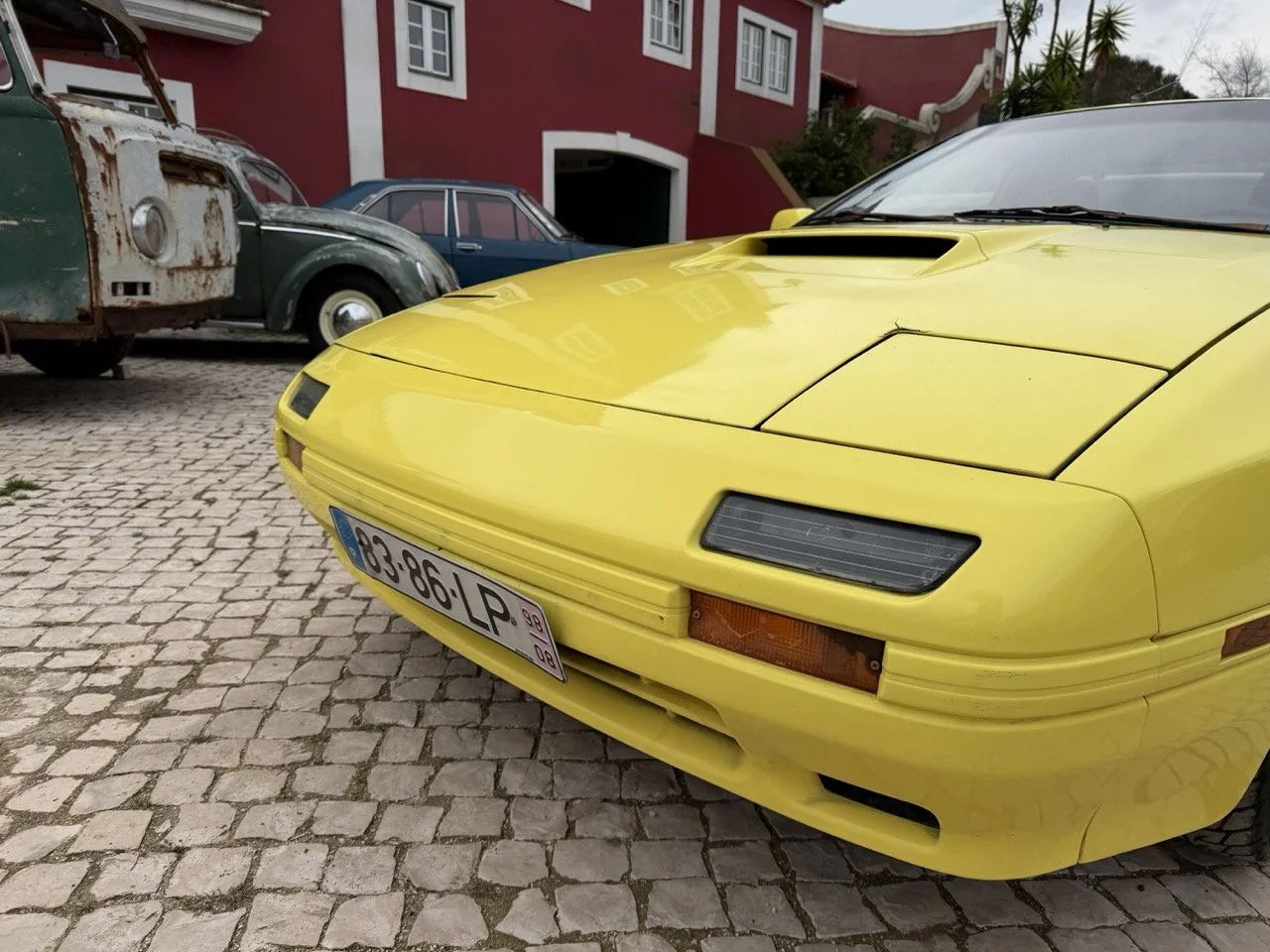 IMG_9798 – grande.jpeg