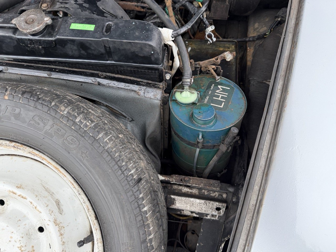 IMG_3732 – grande.jpeg