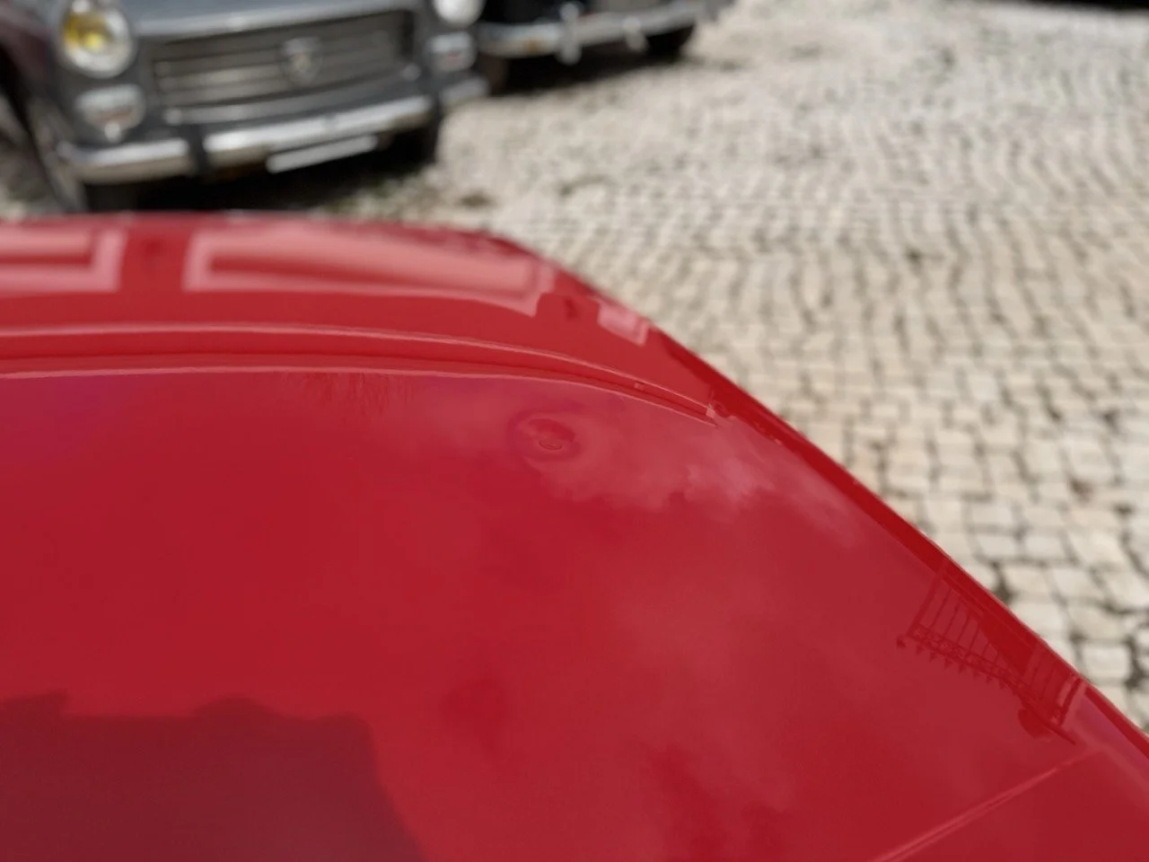 IMG_2384 – grande.jpeg