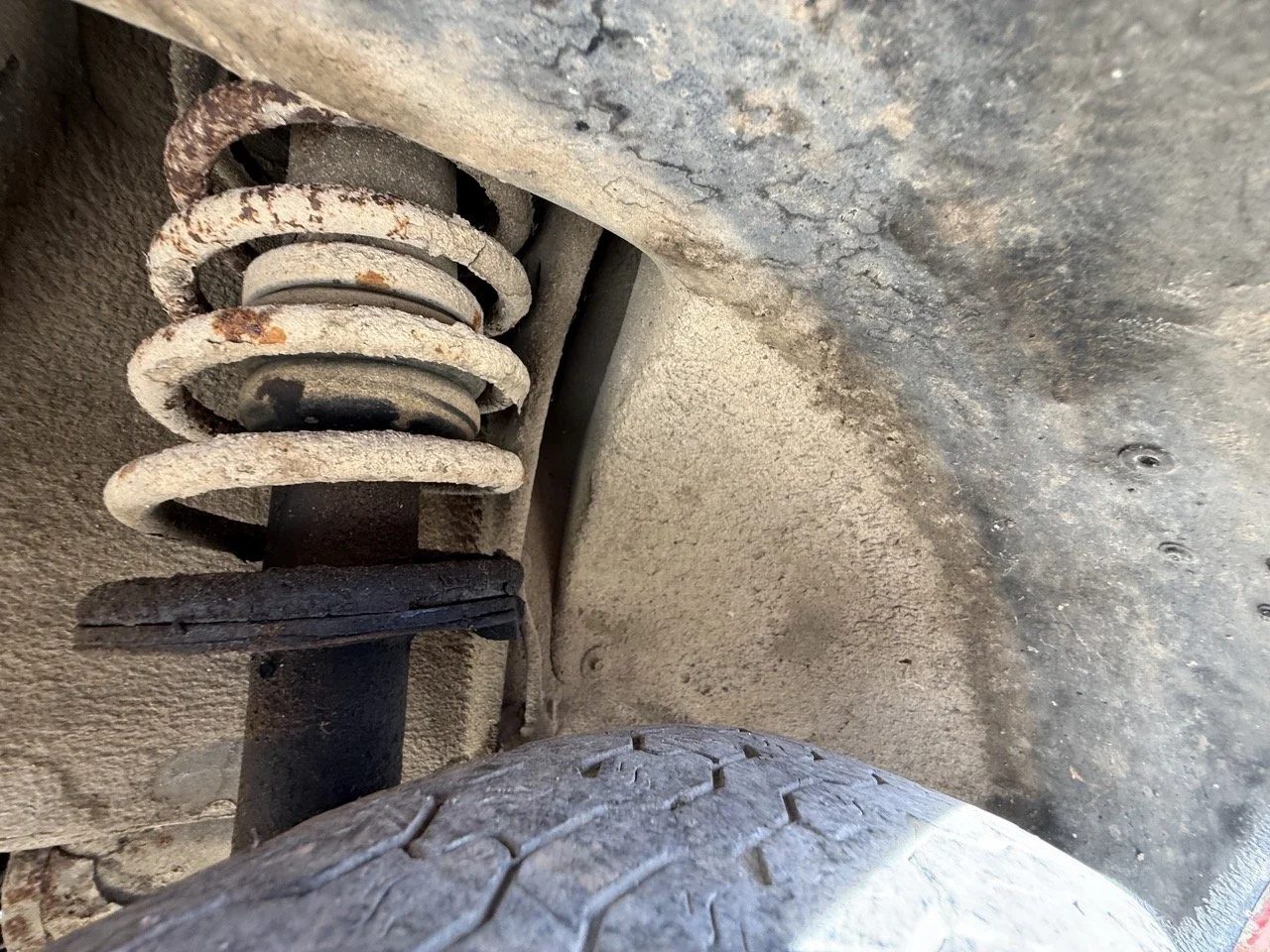 IMG_2384 – grande.jpeg