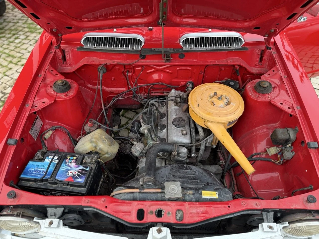 IMG_8250 – grande.jpeg