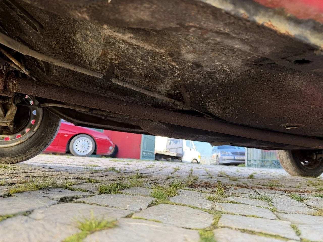 IMG_7224 – grande.jpeg