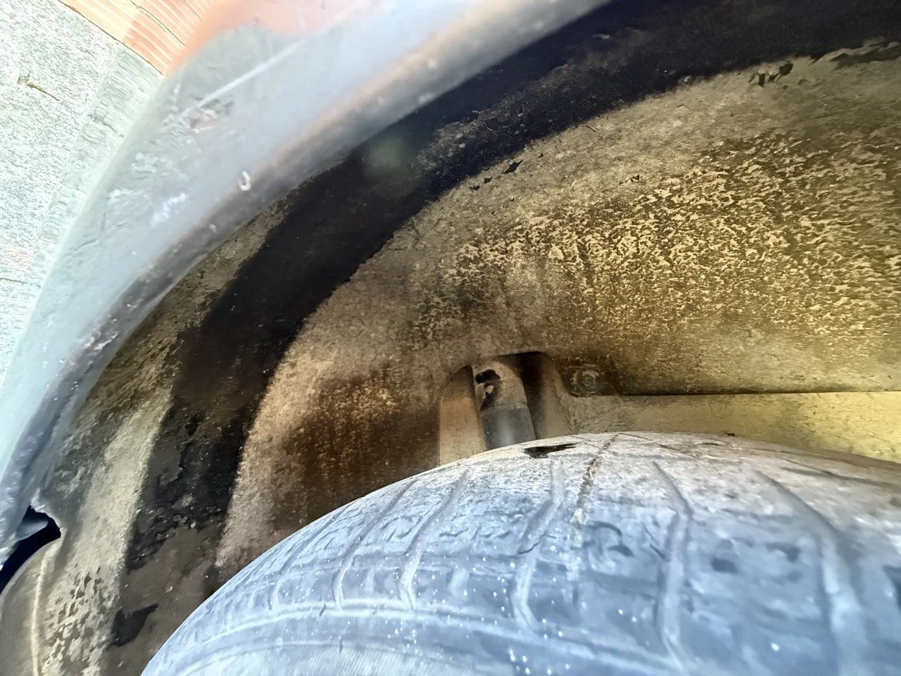 IMG_1816 – grande.jpeg