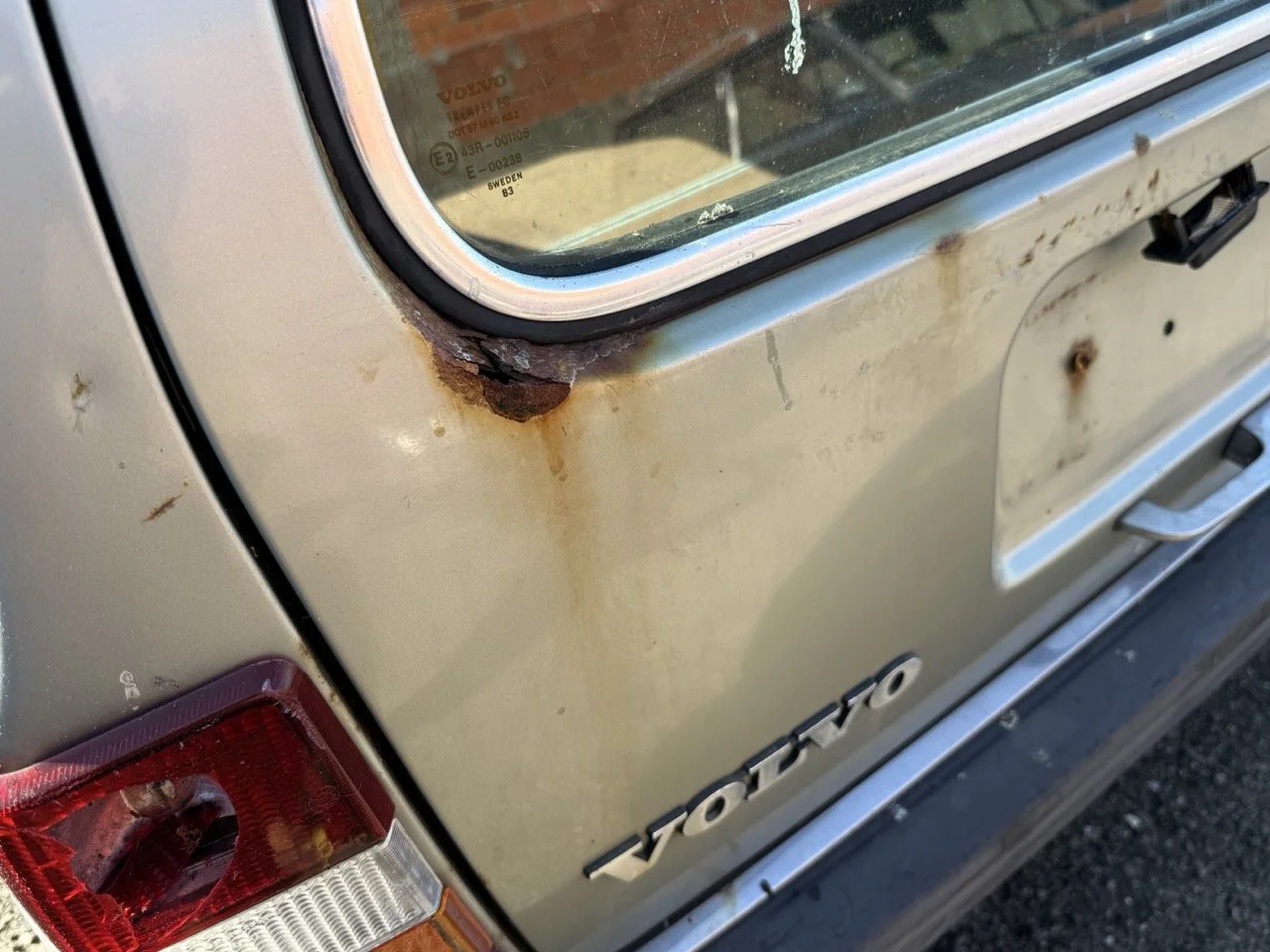 IMG_1191 – grande.jpeg