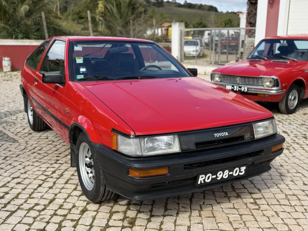 IMG_2290 – grande.jpeg