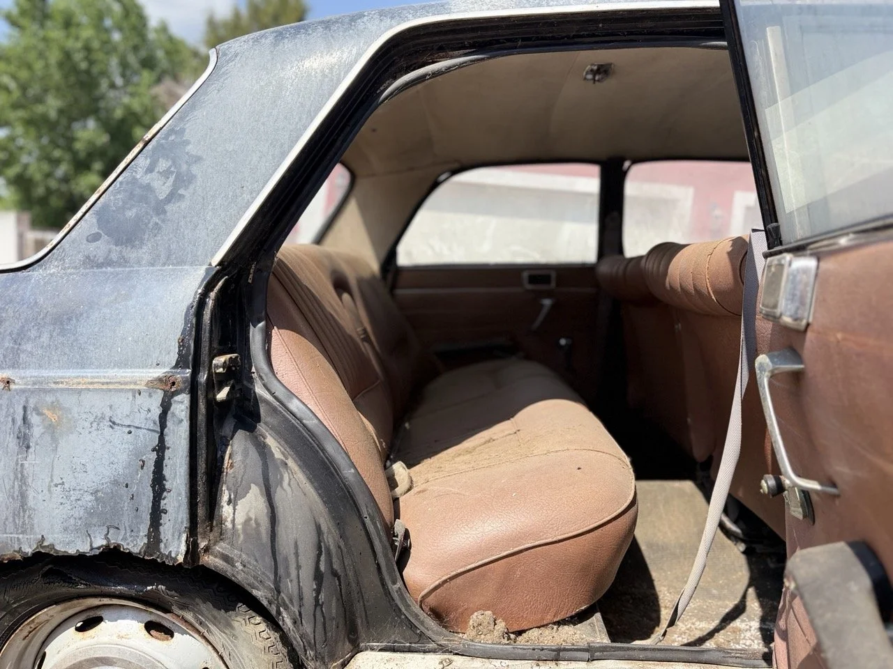 IMG_3470 – grande.jpeg