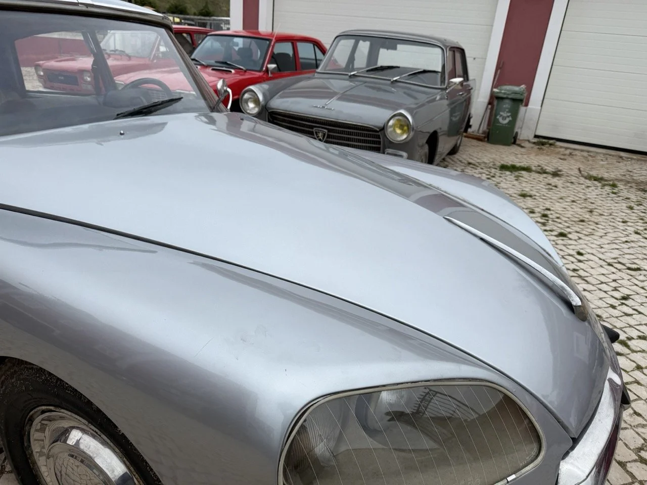 IMG_3752 – grande.jpeg