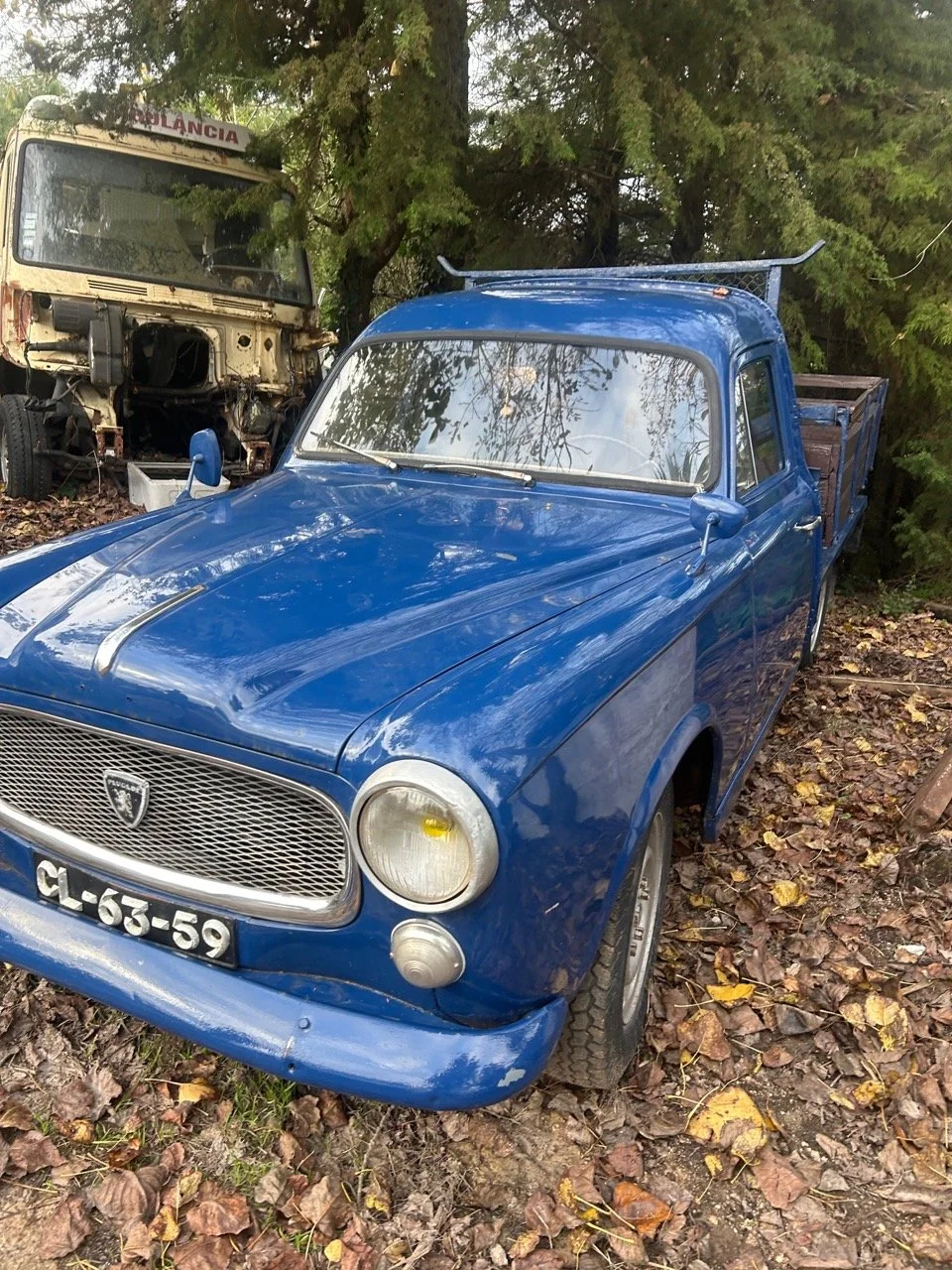 ff52772f-4ea8-4aa7-99c4-44ee444b1922 – grande.jpeg