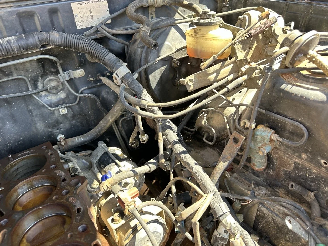 IMG_3082 – grande.jpeg