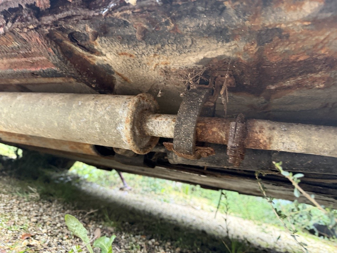 IMG_5509 – grande.jpeg