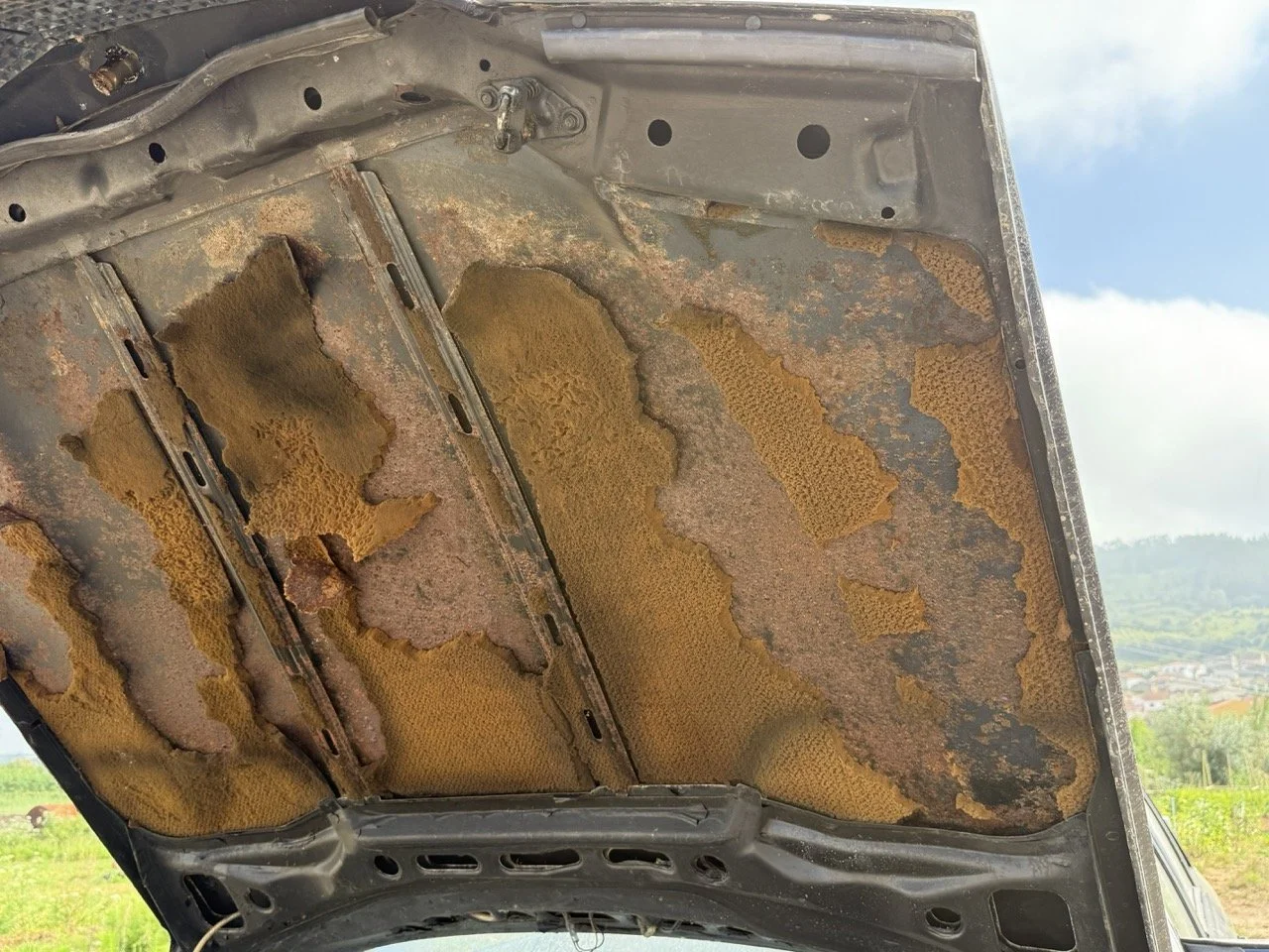 IMG_3414 – grande.jpeg