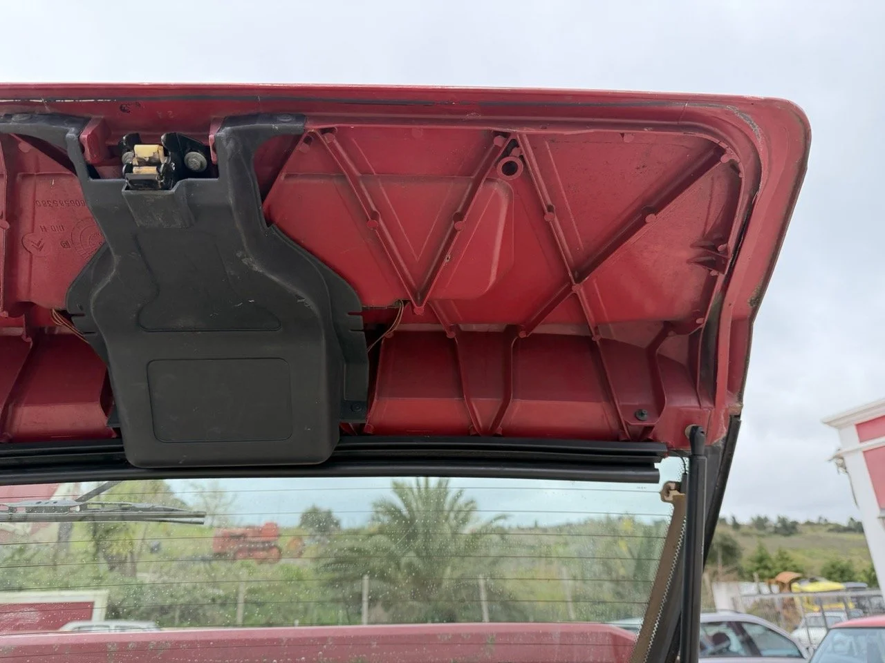 IMG_3611 – grande.jpeg