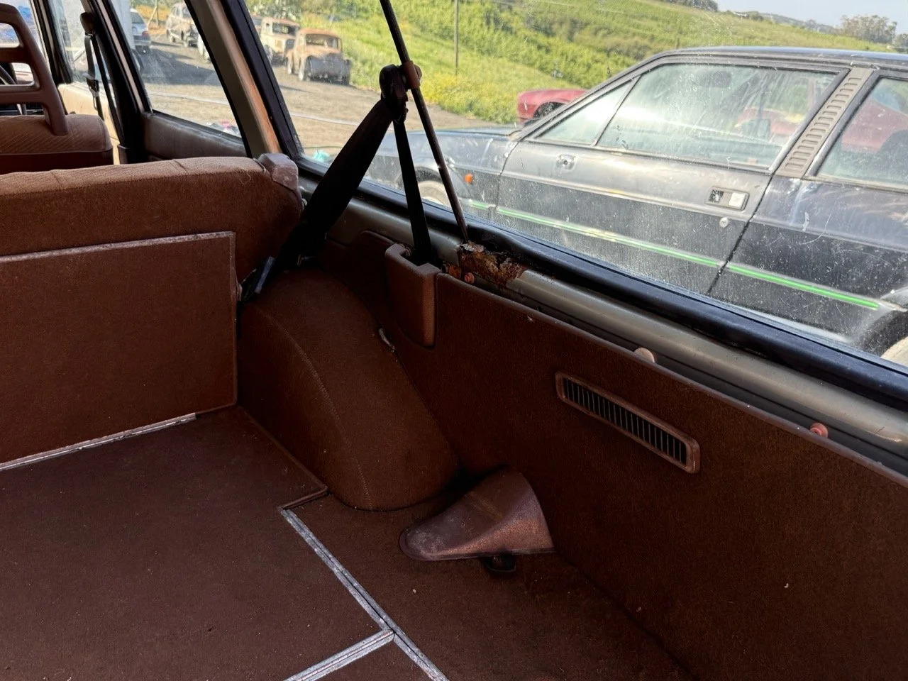 IMG_1201 – grande.jpeg