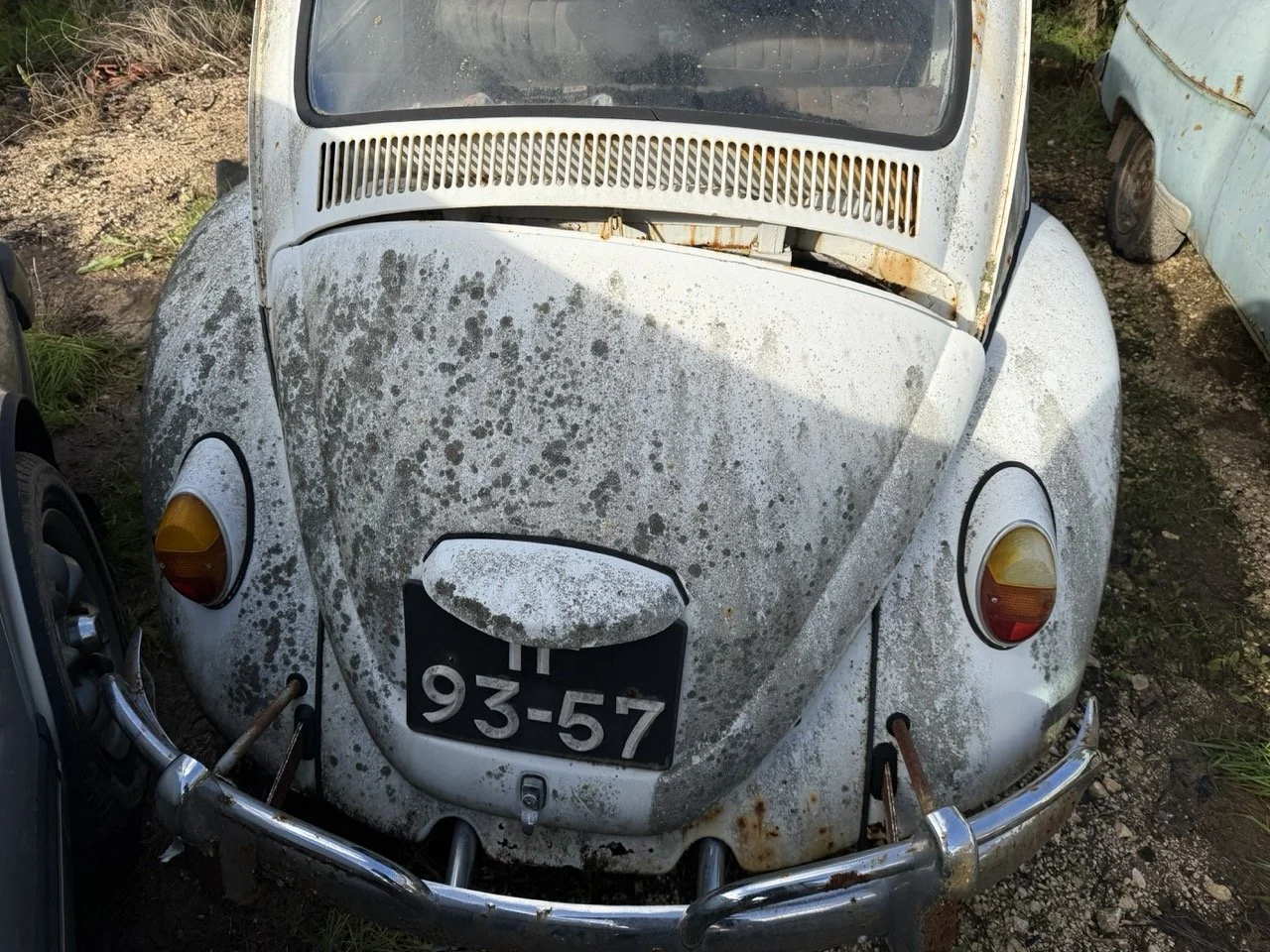 IMG_8576 – grande.jpeg