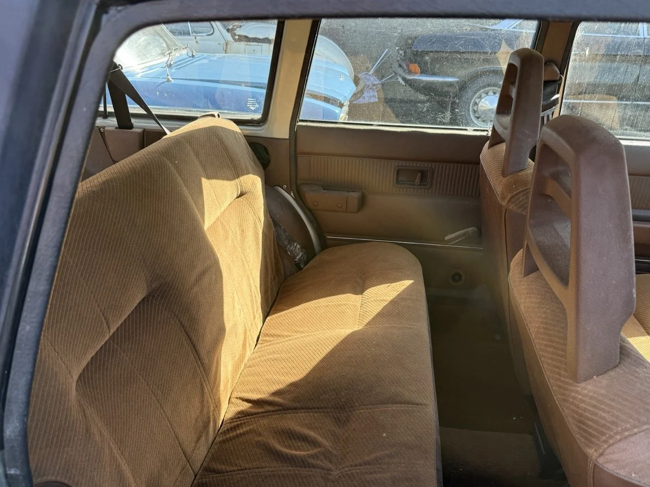 IMG_1156 – grande.jpeg