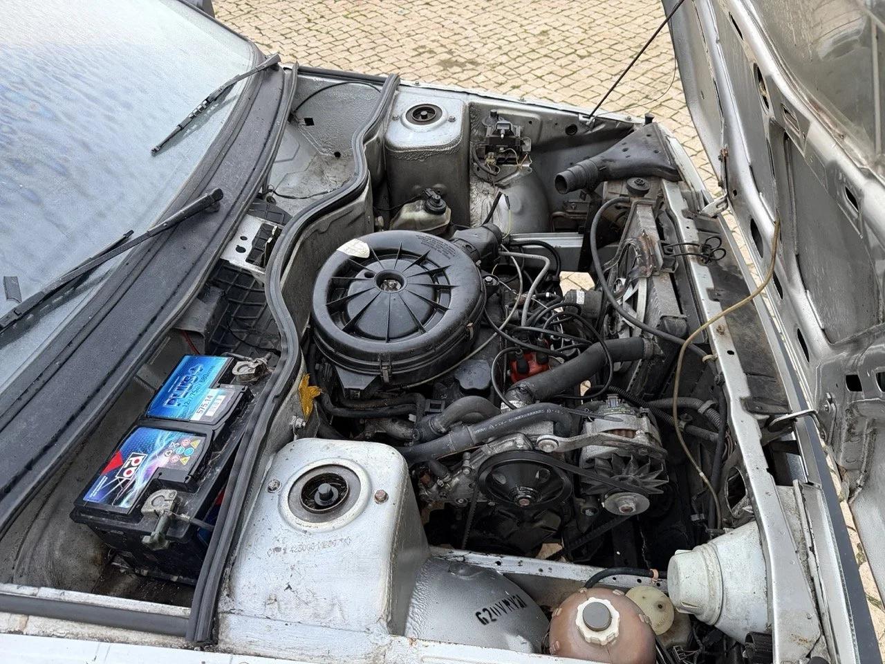 IMG_4733 3 – grande.jpeg