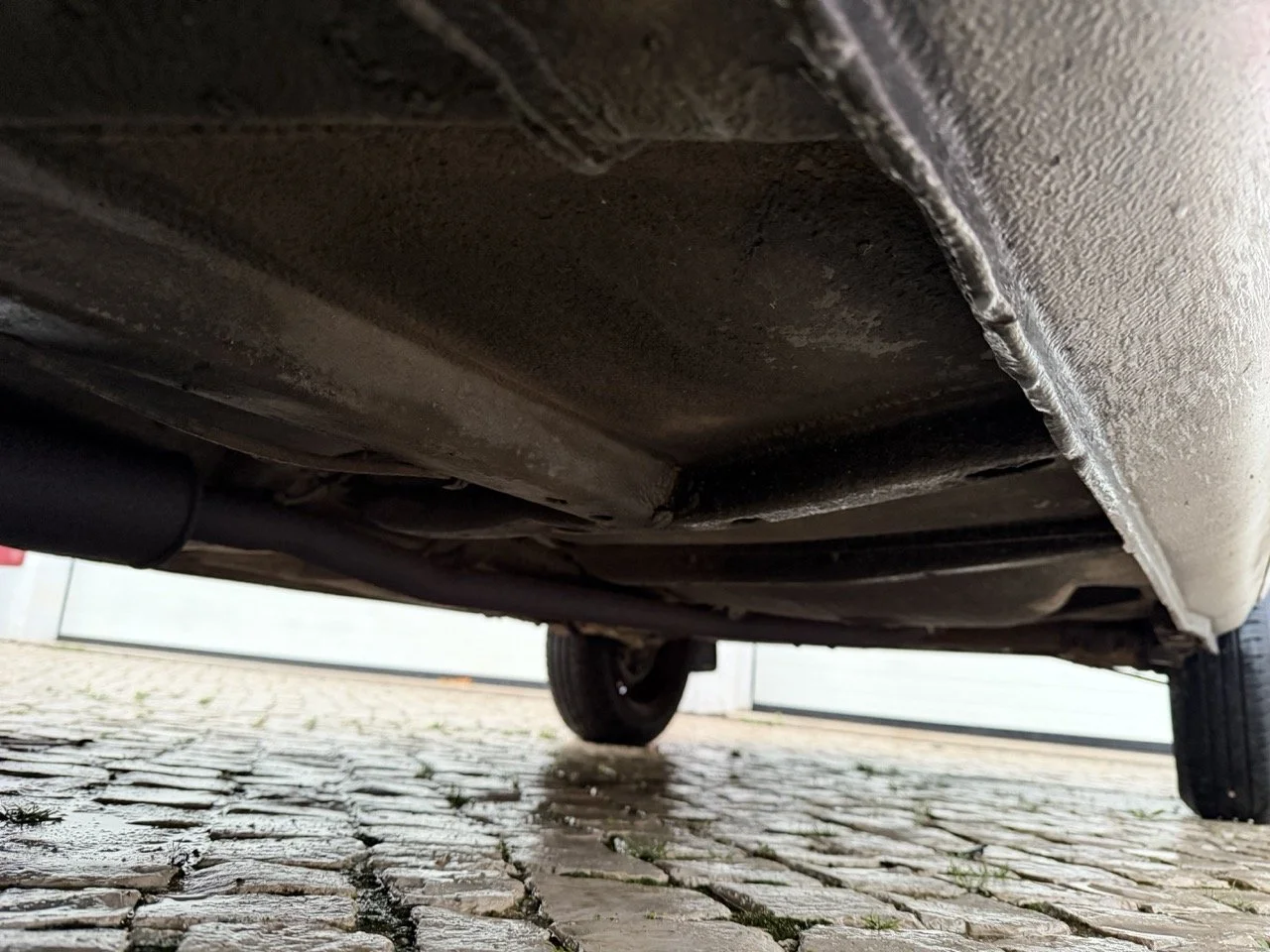 IMG_4778 3 – grande.jpeg