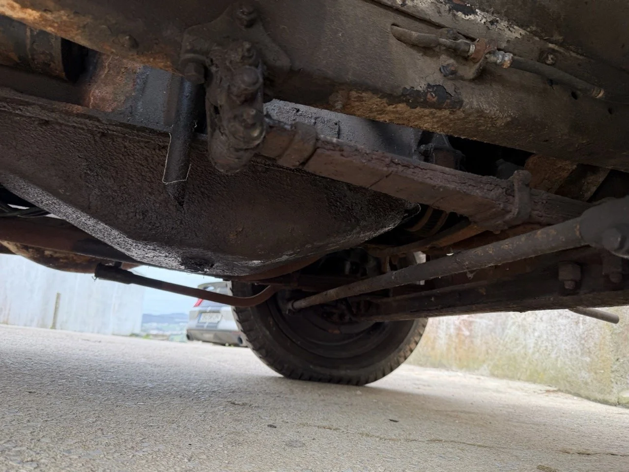 IMG_1656 – grande.jpeg