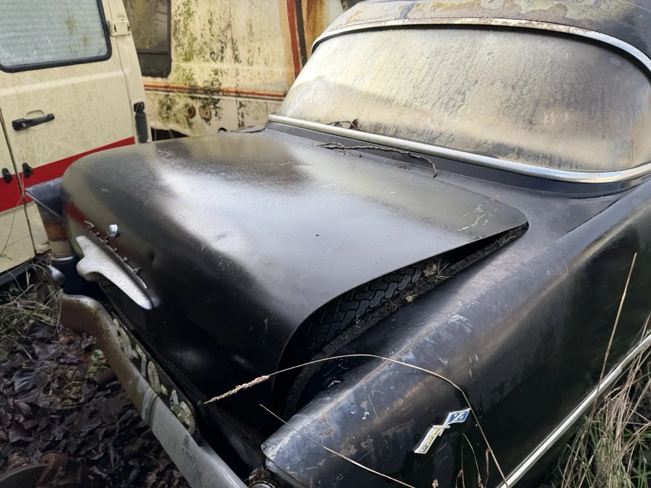 IMG_5050 – grande.jpeg