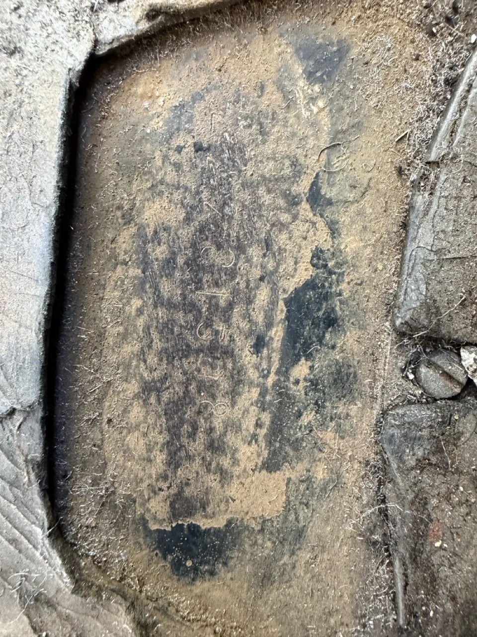 IMG_1861 – grande.jpeg