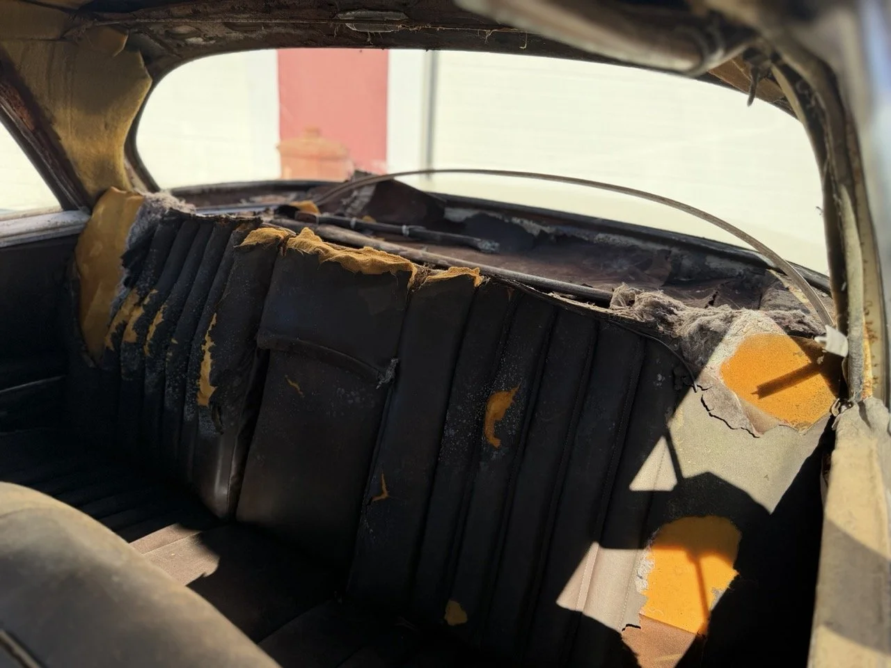 IMG_7018 – grande.jpeg