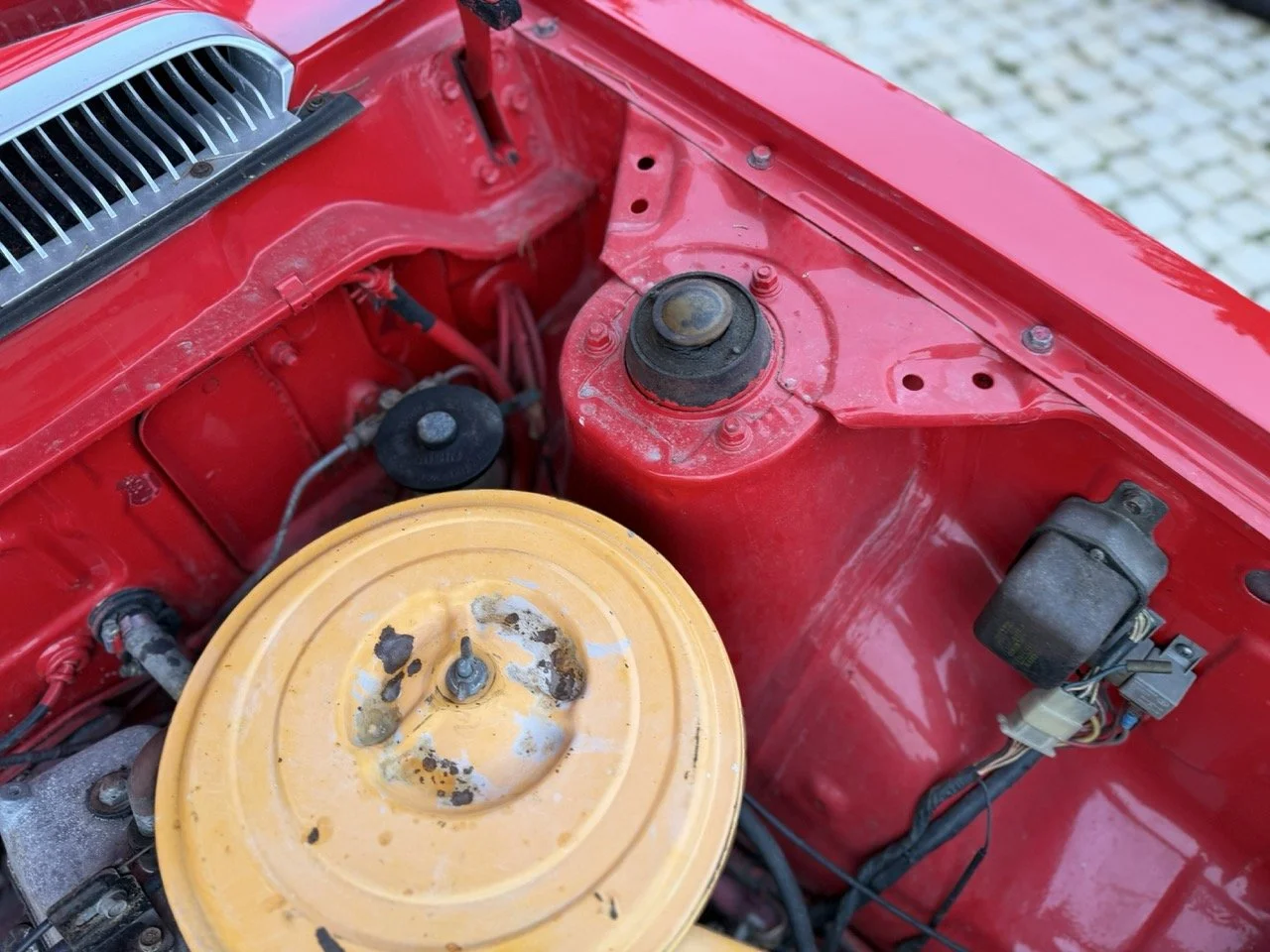 IMG_8259 – grande.jpeg