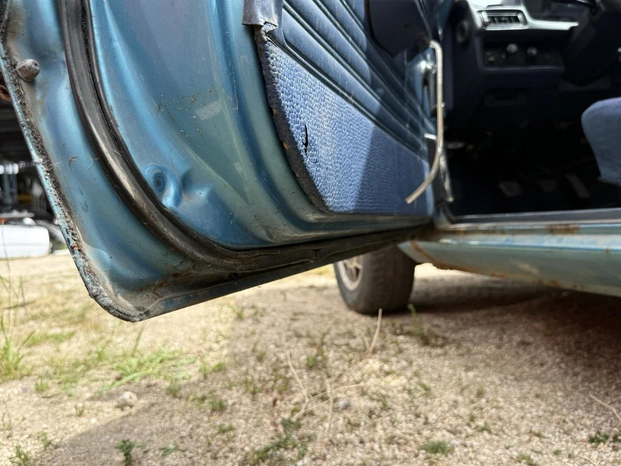 IMG_1526 – grande.jpeg