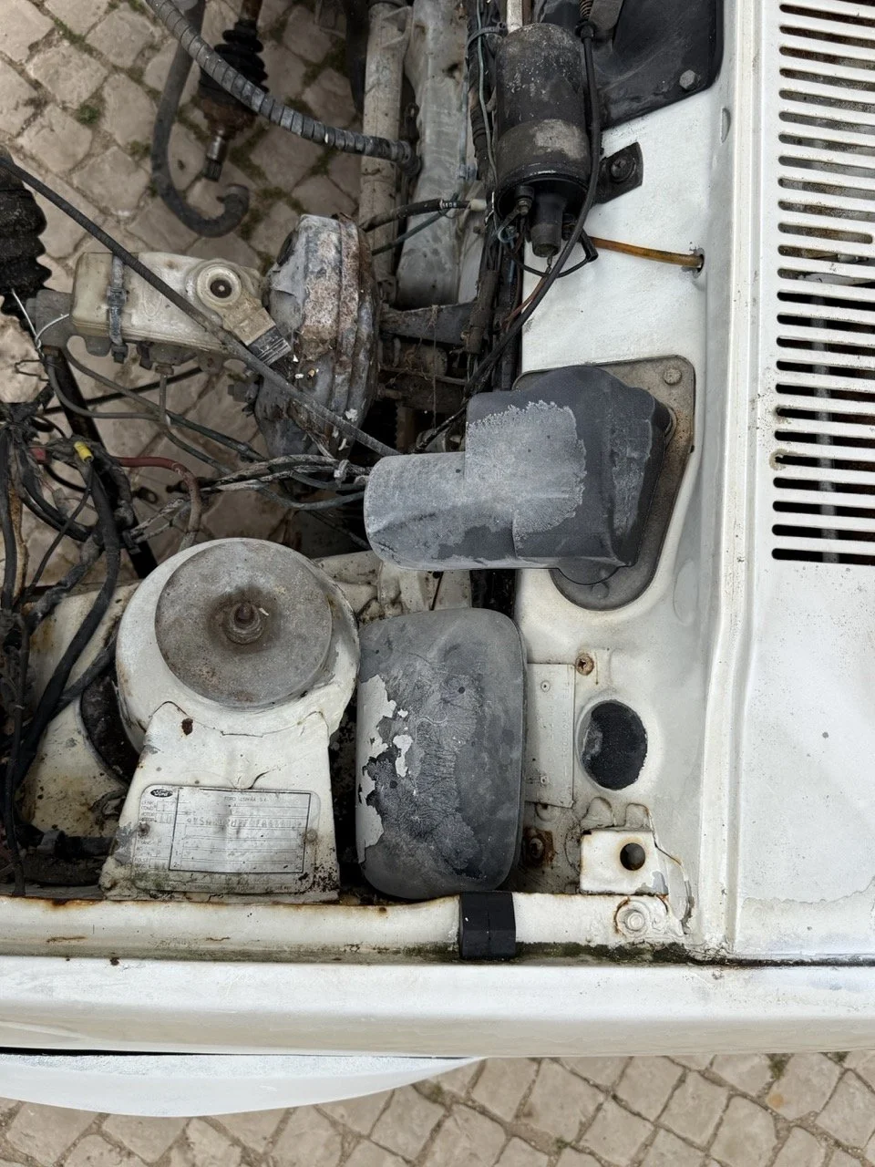 IMG_8553 – grande.jpeg