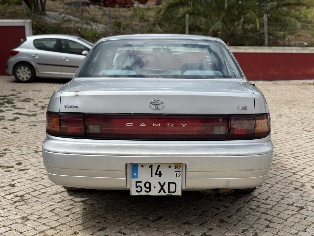IMG_6662 – grande.jpeg