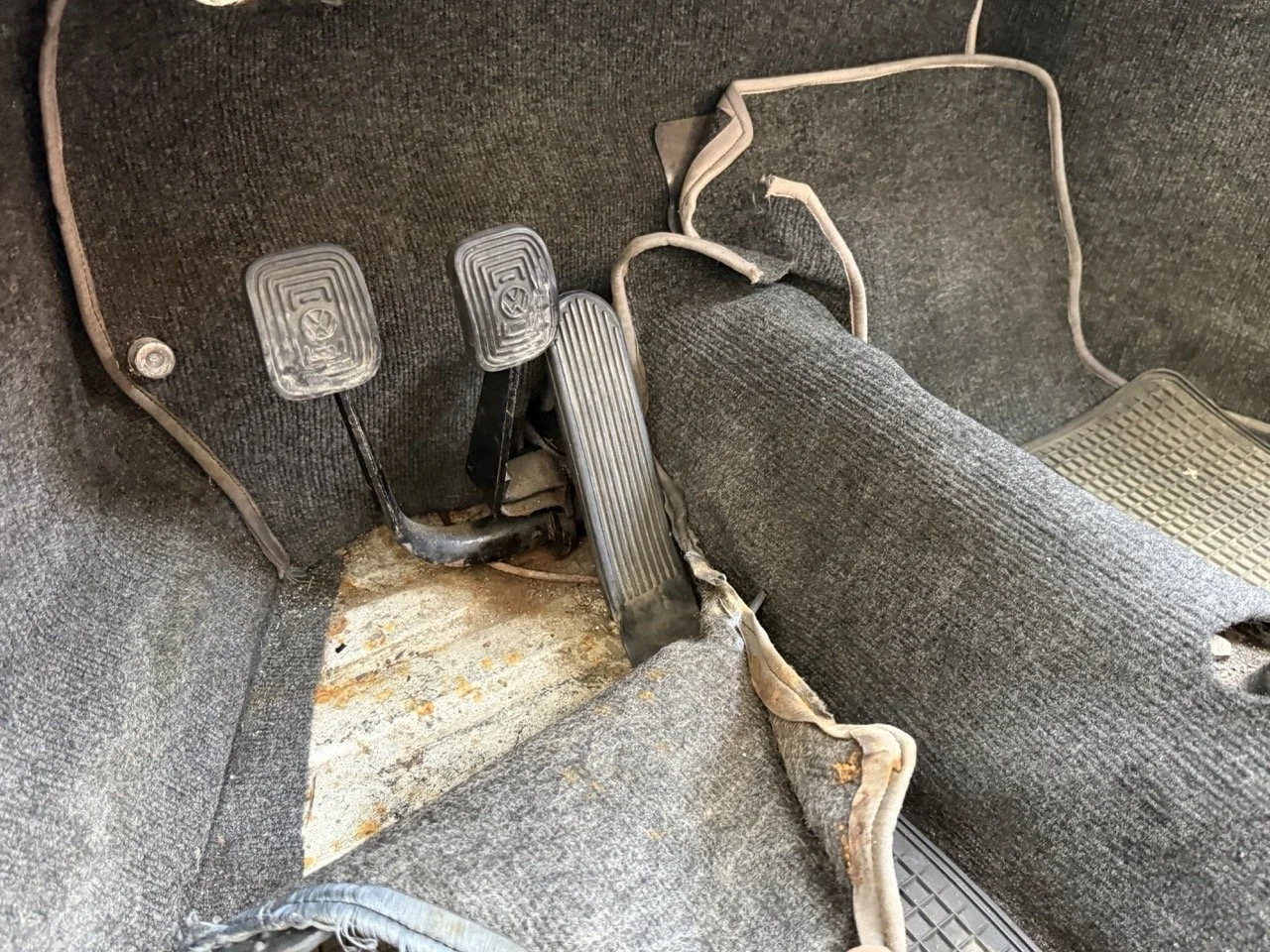 IMG_0691 – grande.jpeg