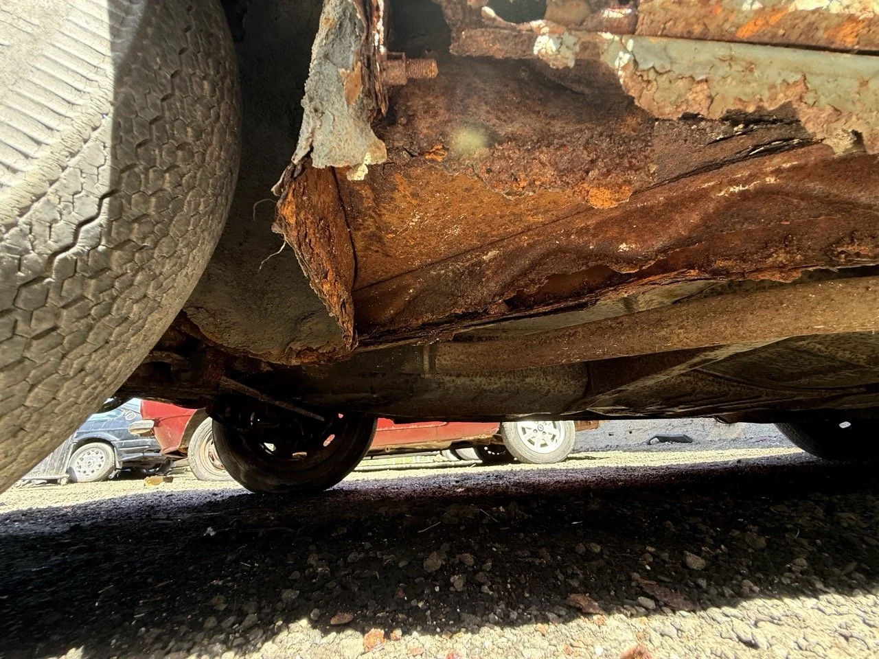 IMG_0884 – grande.jpeg